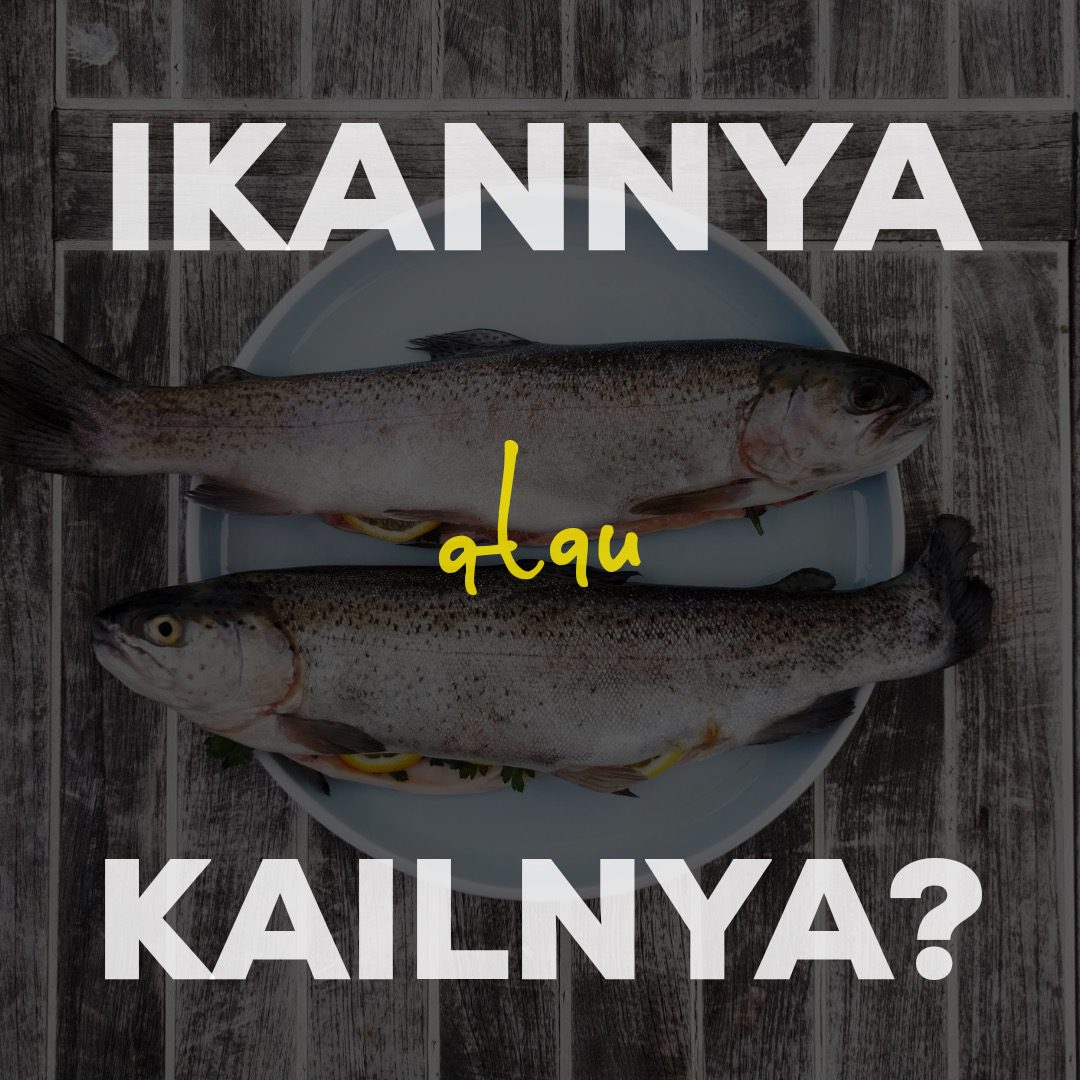 memberi ikan ramadan