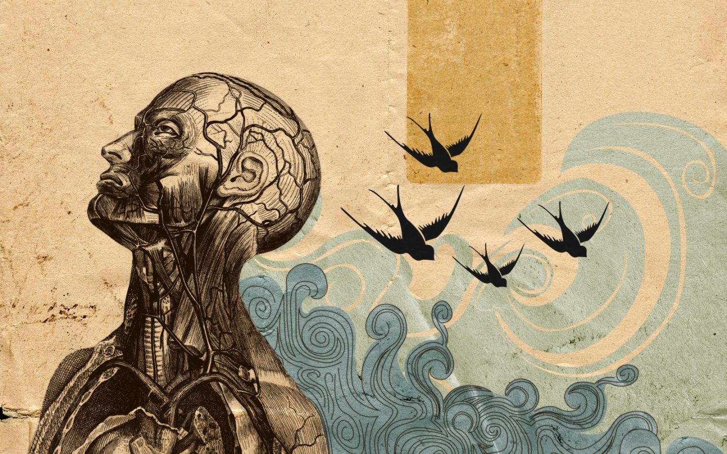 Filsafat Omong Kosong