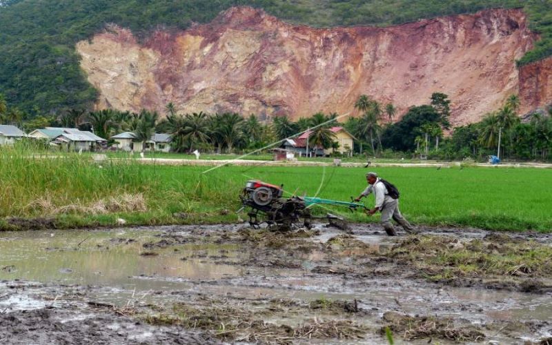 Cetak Sawah di Lahan Gambut, Sebuah Langkah Mundur Teratur