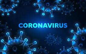 Sumber: https://hits.grid.id/read/482111879/jadi-pembunuh-no-1-umat-manusia-siapa-sangka-virus-corona-ternyata-justru-bawa-angin-surga-beri-kedamaian-bagi-makhluk-hidup-ini?page=all