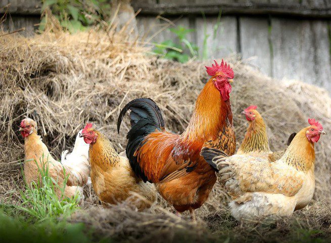 iMarkup_20200726_154250