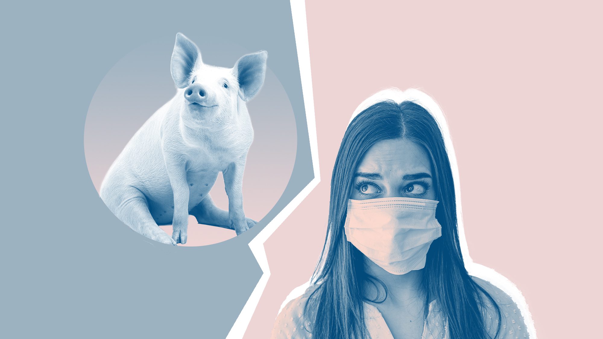 Ancaman Pandemi Baru Virus G4: Jangan Jadi Borok di Kulit Baru