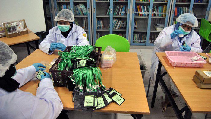 melihat-lebih-jelas-kalung-anticorona-kementan-1_169