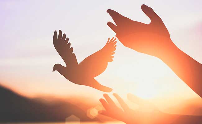 Konsep Kebebasan Sufistik Versi Peterpan