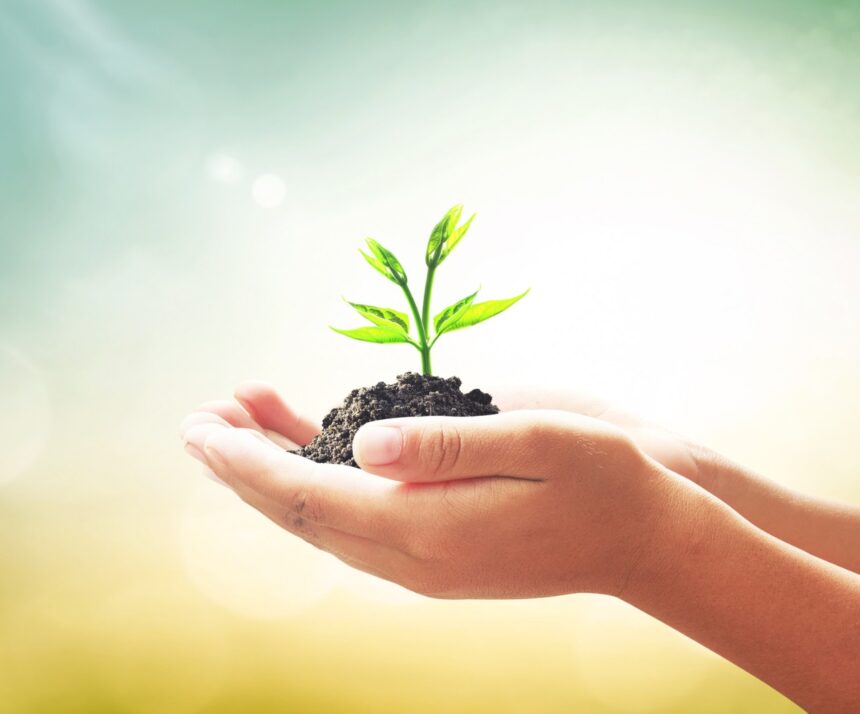 covid-19 literasi lingkungan