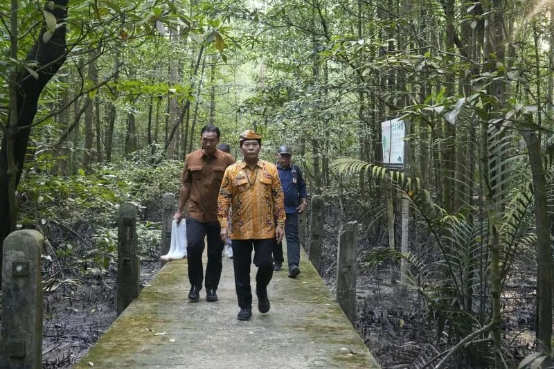 Kaltara Mangrove